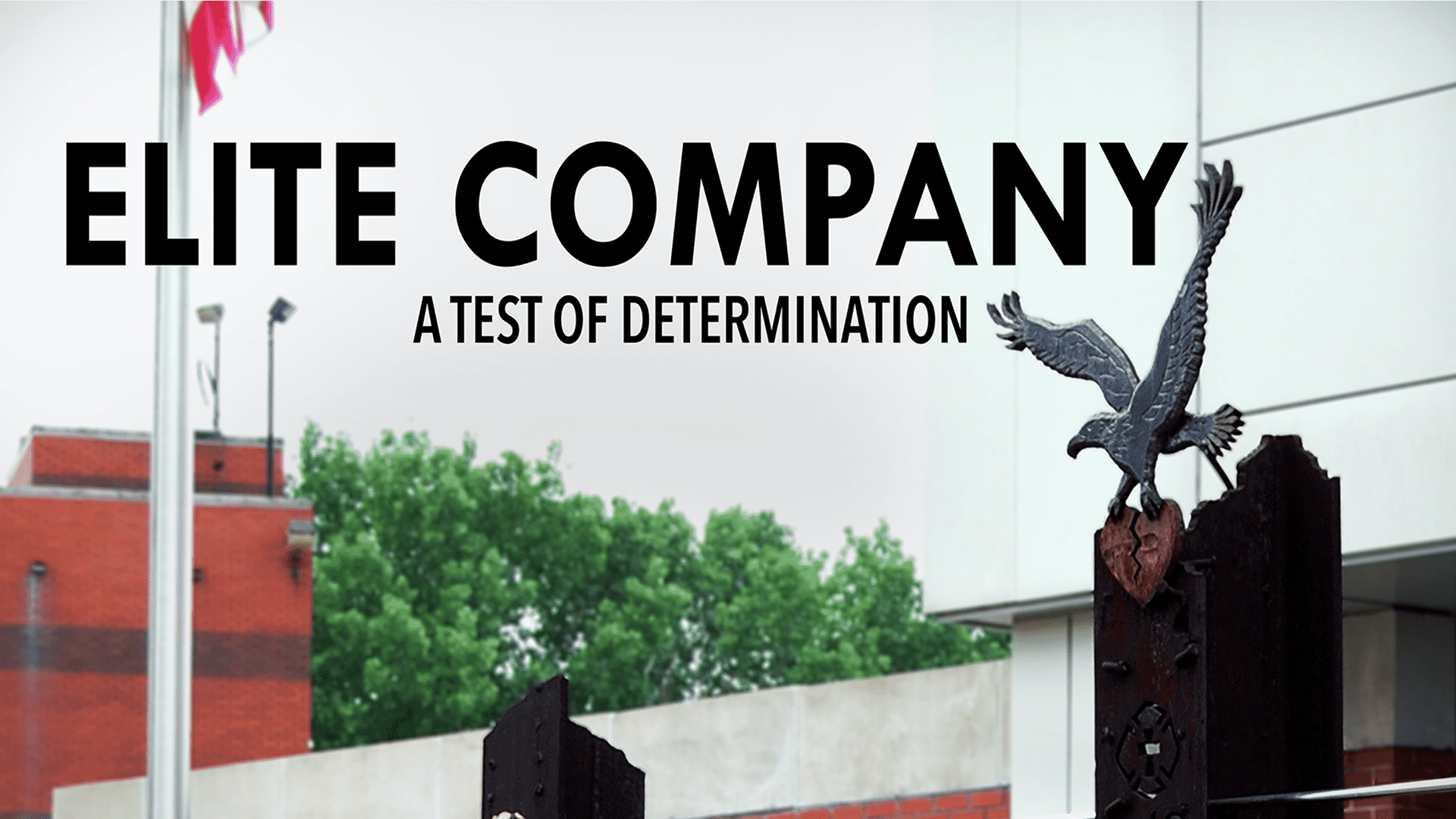 elite-company
